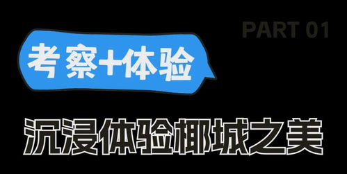 2024年“請進來”?？谑钇诼糜萎a品推介活動圓滿落幕，助力暑期旅游信息精準觸達